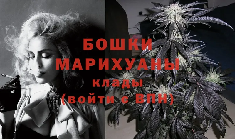 Бошки марихуана THC 21%  kraken сайт  Кубинка 